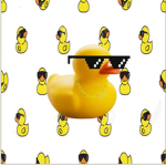 Ducks nation