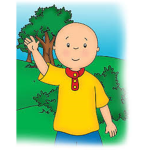 Caillou Raids