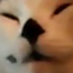 gamerclubxd