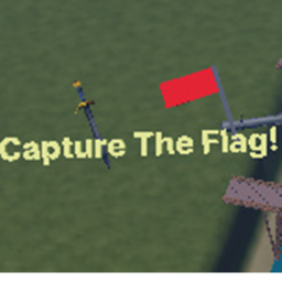 Capture The Flag!