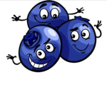 blueberry gaming army