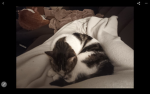 RILEY AND OLLIE