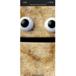 The official Toast group