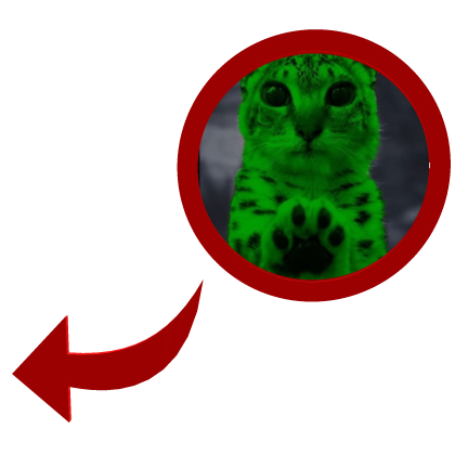 Alien Snow Leopard Hi Cat