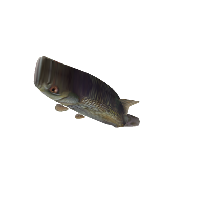 fish