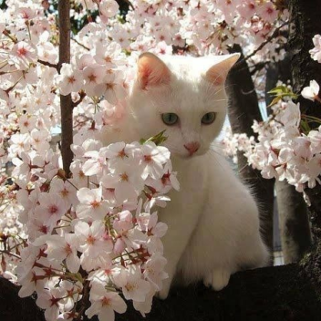 Kelly's Donations (DO NOT JOIN!!)