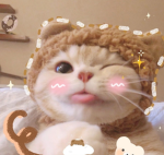 Kat Gang :3