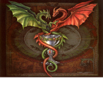 Dragon's United Community