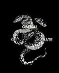 Obenai Kai Karate