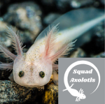 Squad Axolotls