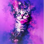 ItzLolaEliana Loves Cats