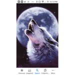Wild wolf club group