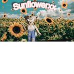Sunflowerxx >3