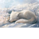 SnowWolves ONLY