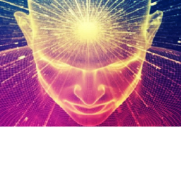 Flamingo's Mind.............