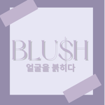 BLU$H DESIGNER