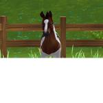Love the horses