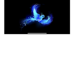 The Dark phoenix Guild