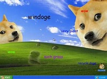 MORE DOGE FIGHT