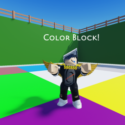 Color Block