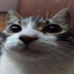 Trollface Skibidi
