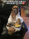 -golden retriever squad -