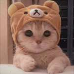 5 9 5 9