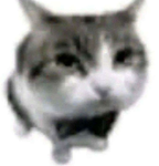 RogueRop