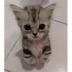 PLS LET ME nAME IT