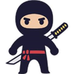 Google Ninja