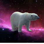 PolarUniverse Fan-Group