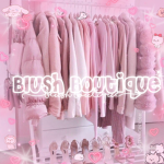 Blush Boutique+*~