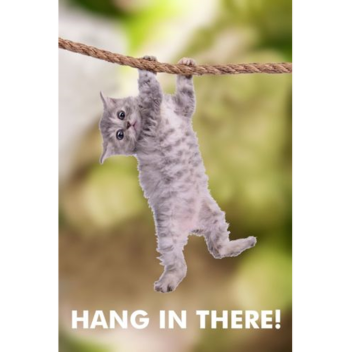 Script/Model Testing