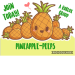 PINEAPPLE~PEOPLE
