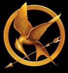 .•*the hunger games*•.