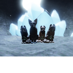 Warrior cats Npc Hunting