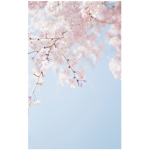 Blossom Buds