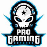 Gamer_fans