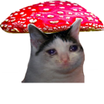 wognoggin mushroom