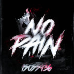 ﾐNo Pain