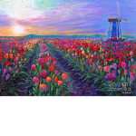 Lamar_khalid