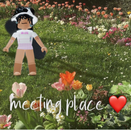 Meeting Place!