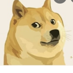 Doggy bois for LIFE