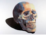 Skull Clan___
