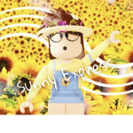Sunny Express
