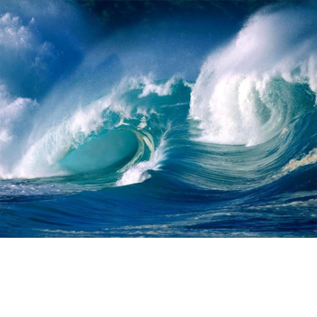 Seafoam Cafe Application Center