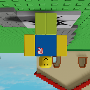 Upside-down Game Test