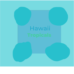 Tropical's Football Practice