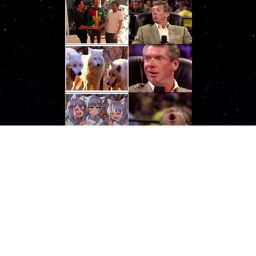 meme picture