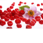 Berry Blossom